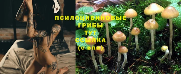тгк Балахна
