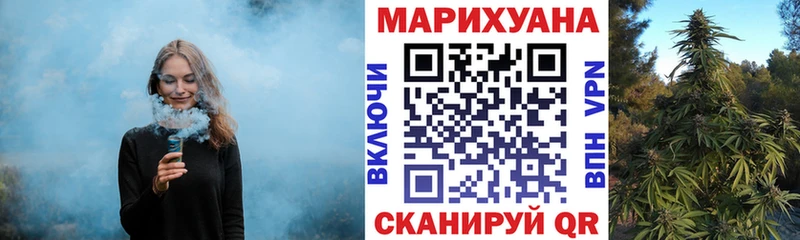 Бошки марихуана OG Kush  Никольск 